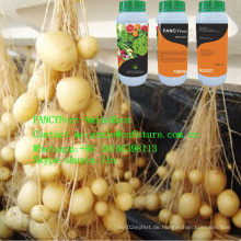Wurzel-Conditioner-flüssiger Aminosäure-Düngemittel-landwirtschaftlicher Grad